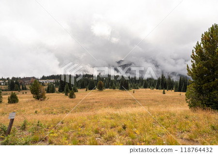 Stunning views of the lush Burroughs Mountains along Sunrise Rim Trail. 118764432