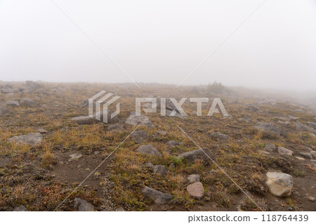 Stunning views of the lush Burroughs Mountains along Sunrise Rim Trail. 118764439