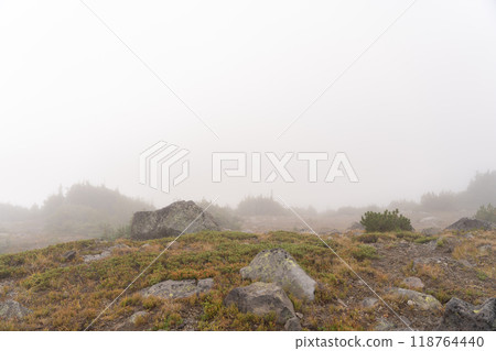Stunning views of the lush Burroughs Mountains along Sunrise Rim Trail. 118764440