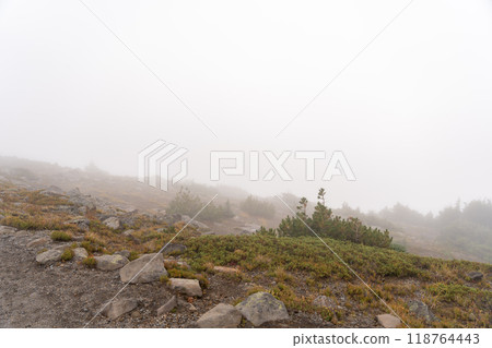 Stunning views of the lush Burroughs Mountains along Sunrise Rim Trail. 118764443
