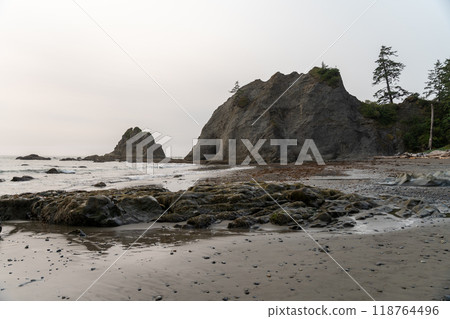 A beautiful view of giant rocks and ocean at Rialto Beach on a cloud day. 118764496
