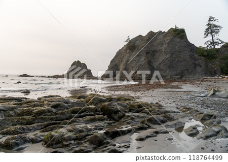 A beautiful view of giant rocks and ocean at Rialto Beach on a cloud day. 118764499