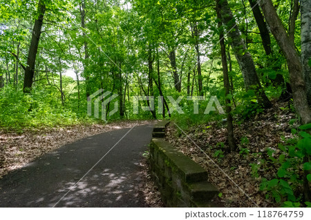 A walking path to the horizon in a local state park surrounded by lush greenery. 118764759