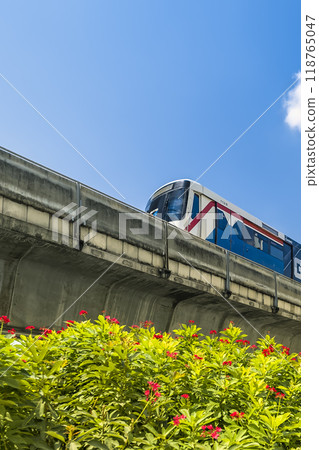 在泰國曼谷運行的空中列車 / 泰國曼谷 在泰國曼谷運行的空中列車 / 泰國曼谷 118765047