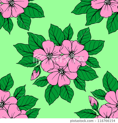 seamless pattern of large pink flowers on a green background, texture, design 118766154