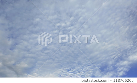 初秋的鱗片雲在早晨蔓延開來。 初秋的鱗片雲在早晨蔓延開來。 118766203