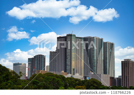 從濱離宮恩賜庭園眺望勝哄/月島高層塔樓公寓 從濱離宮恩賜庭園眺望勝哄/月島高層塔樓公寓 118766226