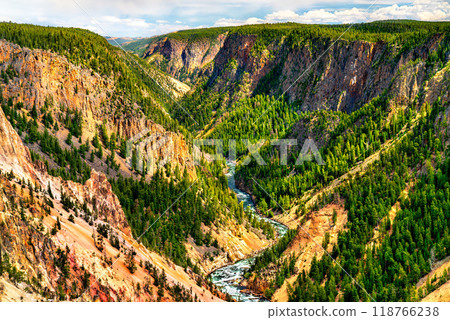 Grand Canyon of the Yellowstone at Yellowstone National Park. UNESCO world heritage in Wyoming, United States 118766238