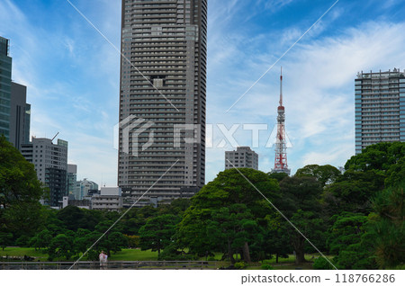 View of Tokyo Tower from Hama-rikyu Garden 118766286