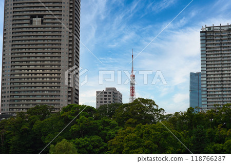View of Tokyo Tower from Hama-rikyu Garden View of Tokyo Tower from Hama-rikyu Garden 118766287