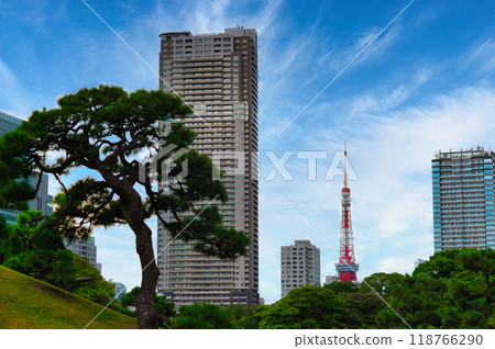 從濱離宮恩賜庭園眺望東京鐵塔 從濱離宮恩賜庭園眺望東京鐵塔 118766290