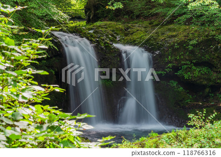 [Yamanashi Prefecture] Katsura River and Kaneyama Falls in Oshino, September 118766316