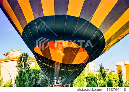 balloon, fly, sky 118766448