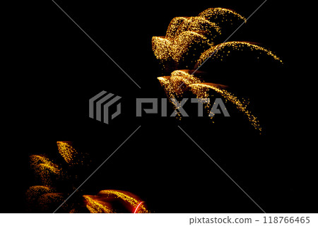Fireworks lighting up the night sky. Pyrotechnics, abstract 118766465