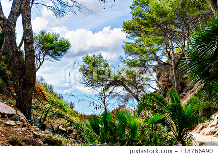 coast, landscape, ocean 118766490