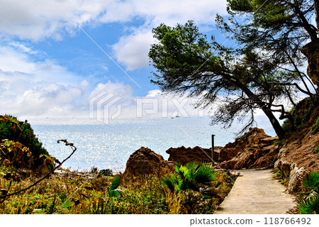 coast, landscape, ocean 118766492