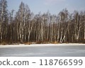 Landscape, winter forest, trees and an icy river. 118766599