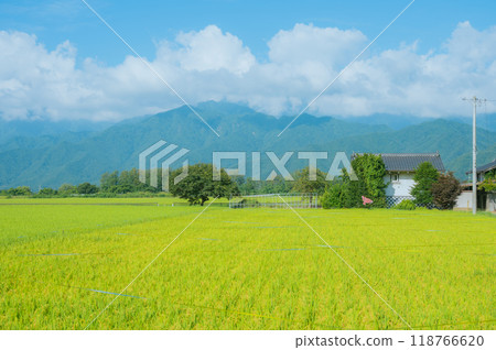 鄉村的夏天[安曇野] 118766620