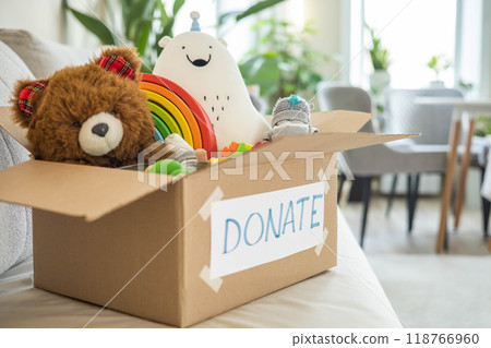 On the living room couch is a box full of toys for donation. Teddy bear soft toy, wooden cubes 118766960