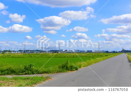 千葉縣野田市玉橋週邊 2024年9月 千葉縣野田市玉橋週邊 2024年9月 118767058