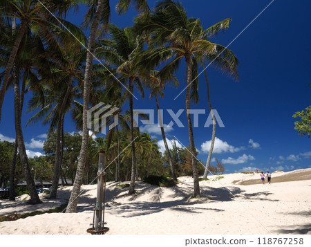 Kailua Beach Park, Hawaii 118767258