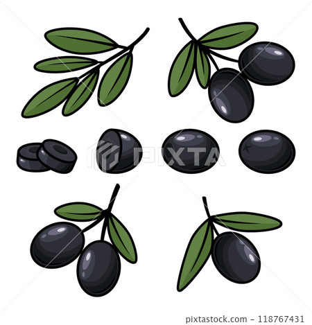 Flat Vector Black Olives and Branch Outline Set. Hand-Drawn Olive Tree Berries and Branch Clipart. Olive Twig with Leaves for Olive Oil Products, Packaging, Food Design Template 118767431