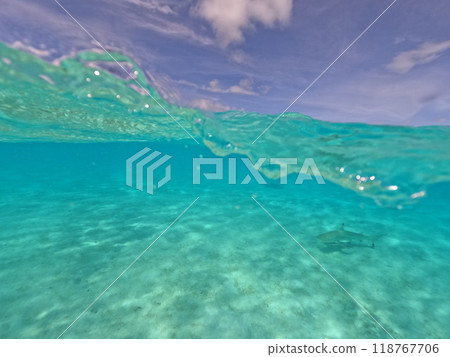透明的大海 118767706