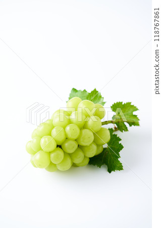 閃耀馬斯喀特 118767861