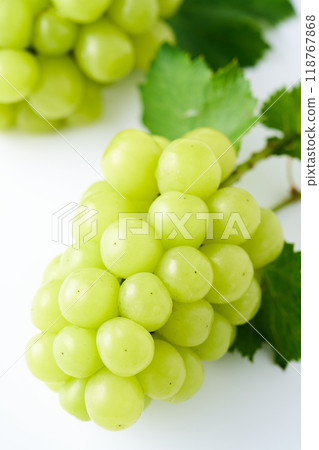 Shine Muscat 118767868