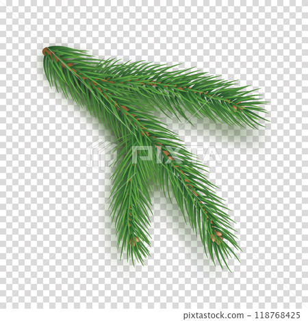 Realistic branch of christmas tree on transparent background. Merry Christmas and Happy New Year decoration. Green pine tree branch vector illustration. Conifer plant detailed 3d element. Realistic branch of christmas tree on transparent background. Merry Christmas and Happy New Year decoration. Green pine tree branch vector illustration. Conifer plant detailed 3d element. 118768425