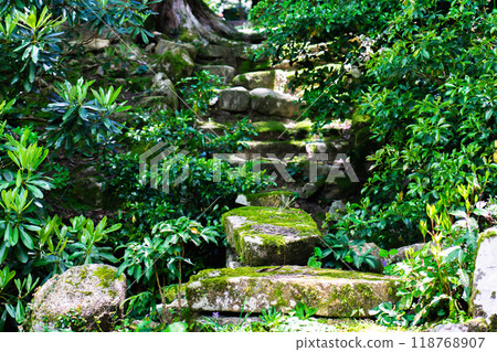 滋賀縣愛知縣愛莊町、金剛林寺(江東三山)、明珠院(國家指定名勝)桃山時代 滋賀縣愛知縣愛莊町、金剛林寺(江東三山)、明珠院(國家指定名勝)桃山時代 118768907