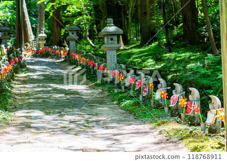 A thousand Jizo statues on the approach to Kongorinji Temple (Koto Sanzan), Aisho-cho, Aichi-gun, Shiga Prefecture A thousand Jizo statues on the approach to Kongorinji Temple (Koto Sanzan), Aisho-cho, Aichi-gun, Shiga Prefecture 118768911