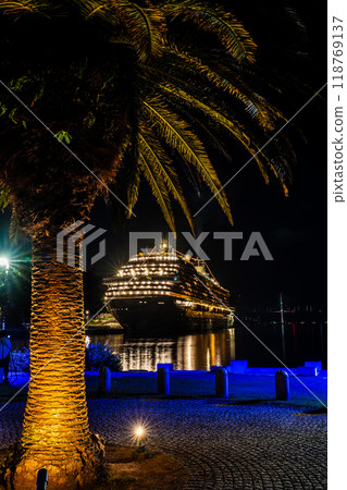 Cruise ship arriving at Nagasaki Port (Adora Magic City) Night view from Mizube no Mori Park [Nagasaki City] 118769137
