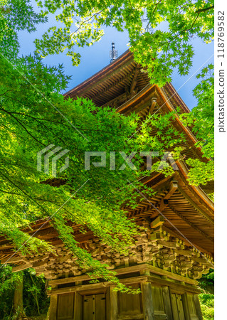 Kongorinji Temple (Koto Sanzan), Aichi District, Shiga Prefecture, Three-story Pagoda (Important Cultural Property), Green Maple Leaves 118769582
