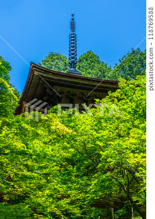 Kongorinji Temple (Koto Sanzan), Aichi District, Shiga Prefecture, Three-story Pagoda (Important Cultural Property), Green Maple Leaves Kongorinji Temple (Koto Sanzan), Aichi District, Shiga Prefecture, Three-story Pagoda (Important Cultural Property), Green Maple Leaves 118769588