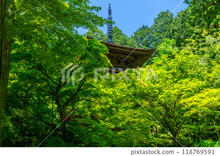 Kongorinji Temple (Koto Sanzan), Aichi District, Shiga Prefecture, Three-story Pagoda (Important Cultural Property), Green Maple Leaves Kongorinji Temple (Koto Sanzan), Aichi District, Shiga Prefecture, Three-story Pagoda (Important Cultural Property), Green Maple Leaves 118769591