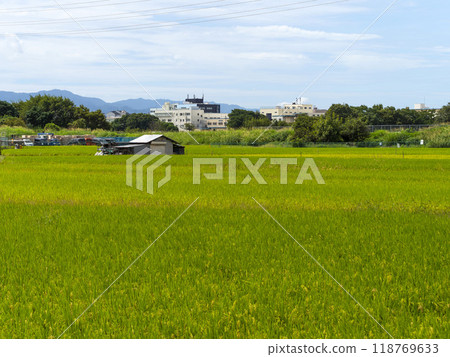 A rural landscape in Tondabayashi, Osaka Prefecture 118769633