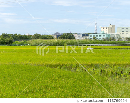 A rural landscape in Tondabayashi, Osaka Prefecture 118769634