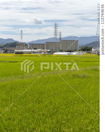 A rural landscape in Tondabayashi, Osaka Prefecture 118769636