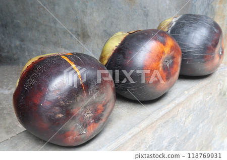 Borassus palm on house for eat and sell 118769931