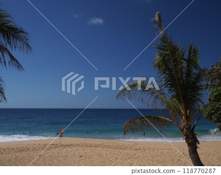 夏威夷沙灘 118770287