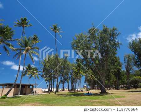 Kailua Beach Park, Hawaii 118770664