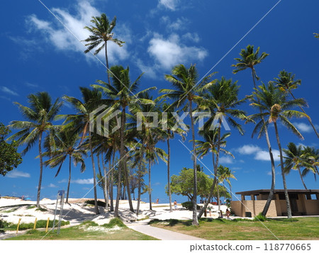 Kailua Beach Park, Hawaii 118770665
