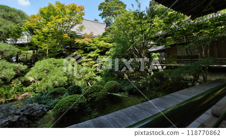 花園 118770862
