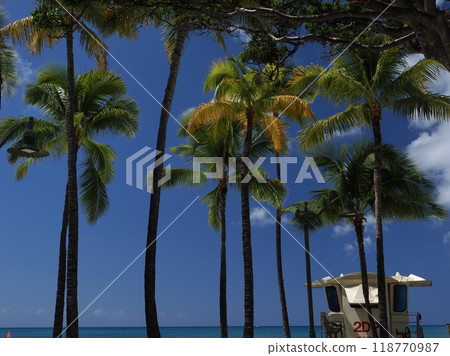 Hawaii Waikiki 118770987