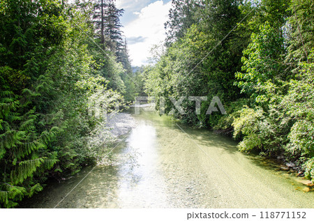 A rivulet with crystal clear water flowing down the mountains - tributary of Kettle River, BC, Canada A rivulet with crystal clear water flowing down the mountains - tributary of Kettle River, BC, Canada 118771152
