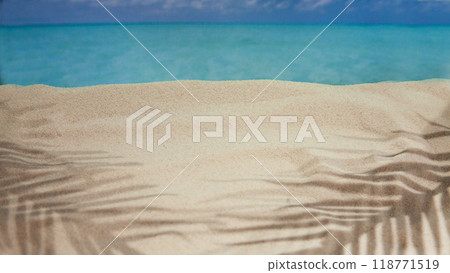 the beach of a tropical Paradise sea island, with shells and the shade of palm trees 118771519