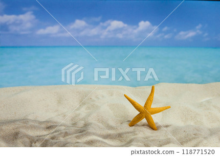 the beach of a tropical Paradise sea island, with shells and the shade of palm trees 118771520