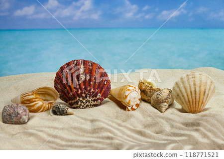 the beach of a tropical Paradise sea island, with shells and the shade of palm trees the beach of a tropical Paradise sea island, with shells and the shade of palm trees 118771521