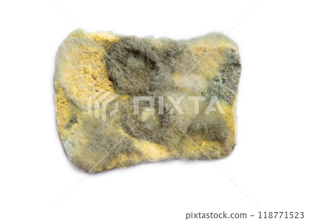 Moldy bread atop white background, a natural artifact Moldy bread atop white background, a natural artifact 118771523